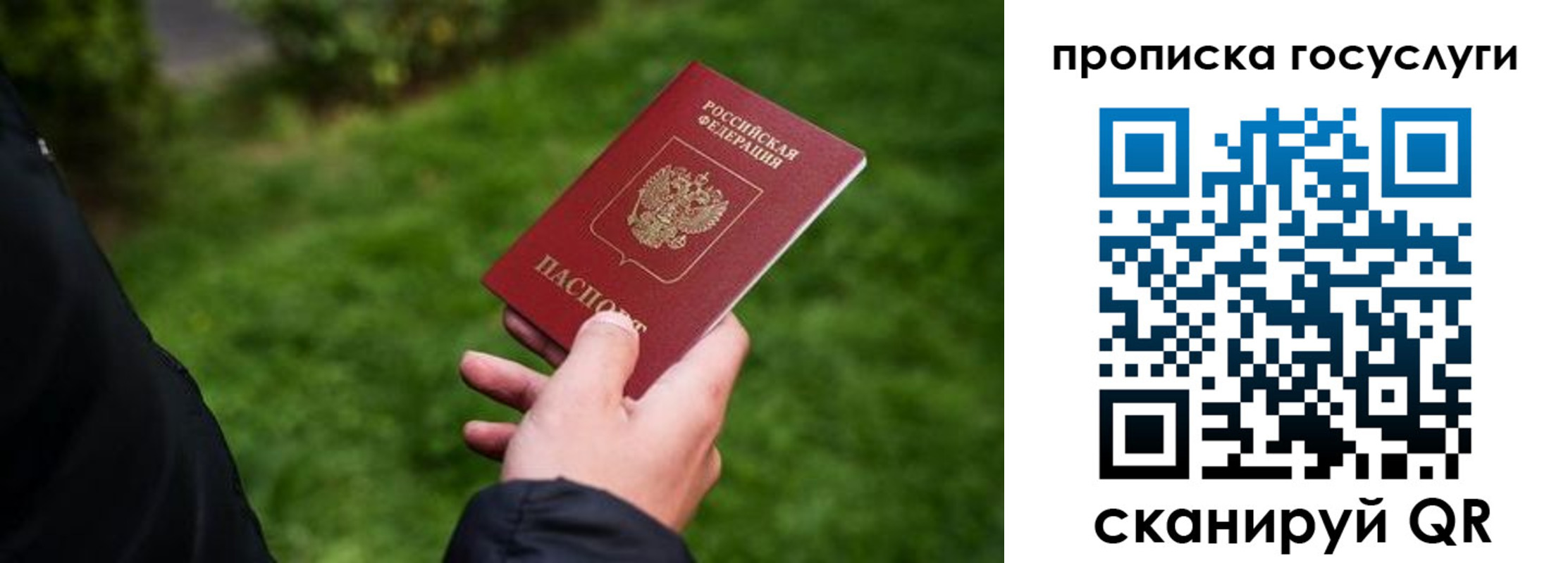 прописка для работы в Химках